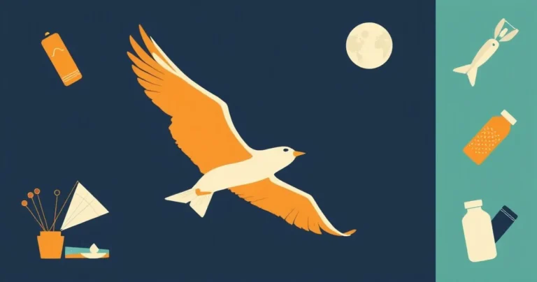 Illustration for Describing Flight: A Guide to Adjectives for Aeroplanes